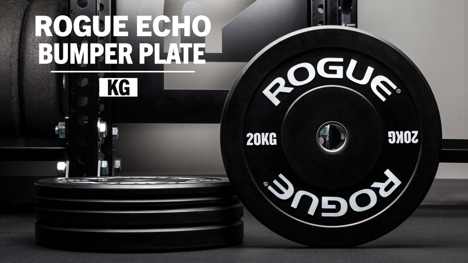 Rogue 10kg 2025 bumper plates